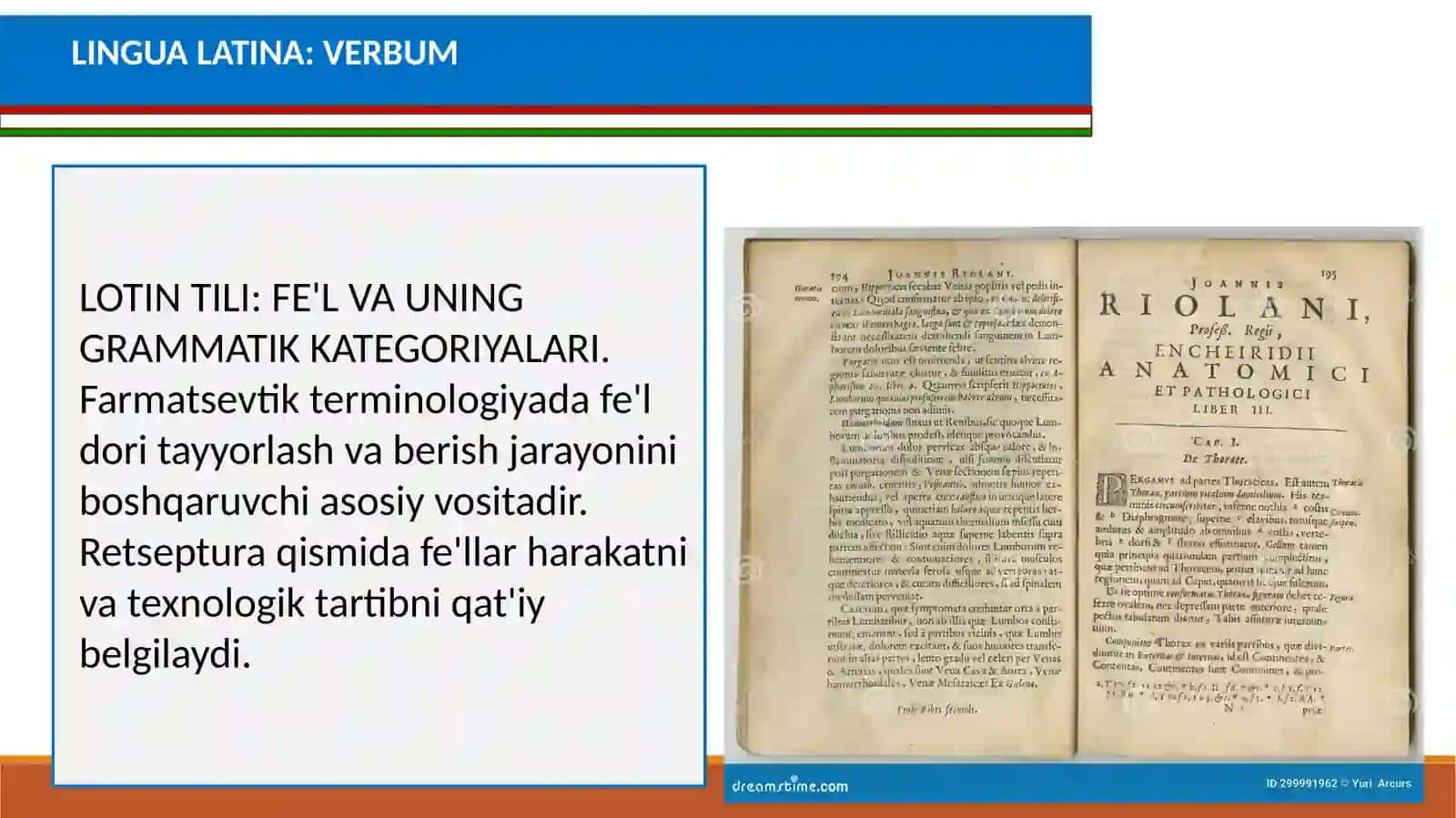 LOTIN TILI: FE'L VA UNING GRAMMATIK KATEGORIYALARI 2