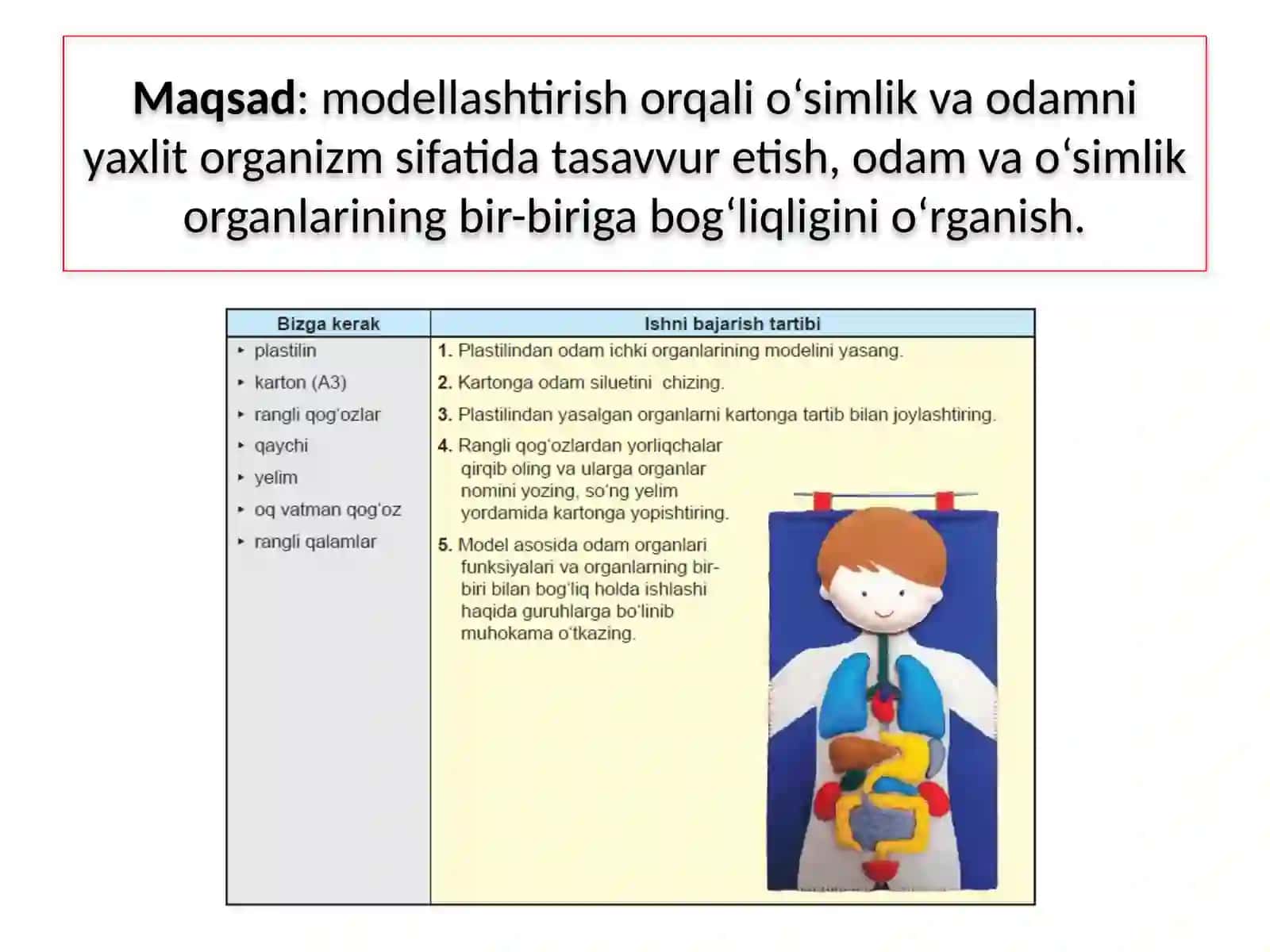 TIRIK ORGANIZM – YAXLIT SISTEMA 2