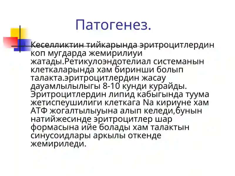 Гемолитические анемии 2
