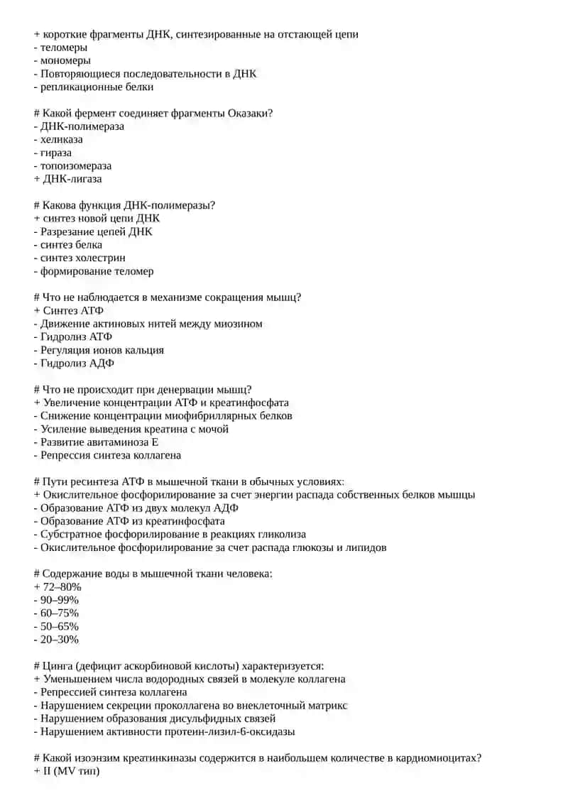Репликация ДНК 2