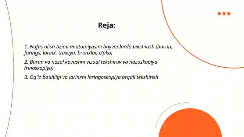 Nafas olish tizimi a’zolarini tekshirish hayvonlarda 2