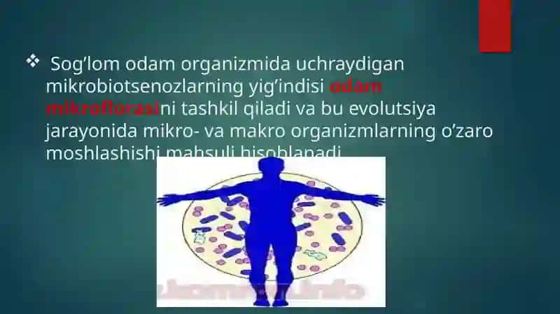 Odam normal mikroflorasi, tekshirish usullari 2