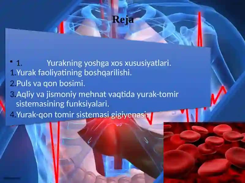 Yurakning yo‘shg‘a xususiyatlarini 2