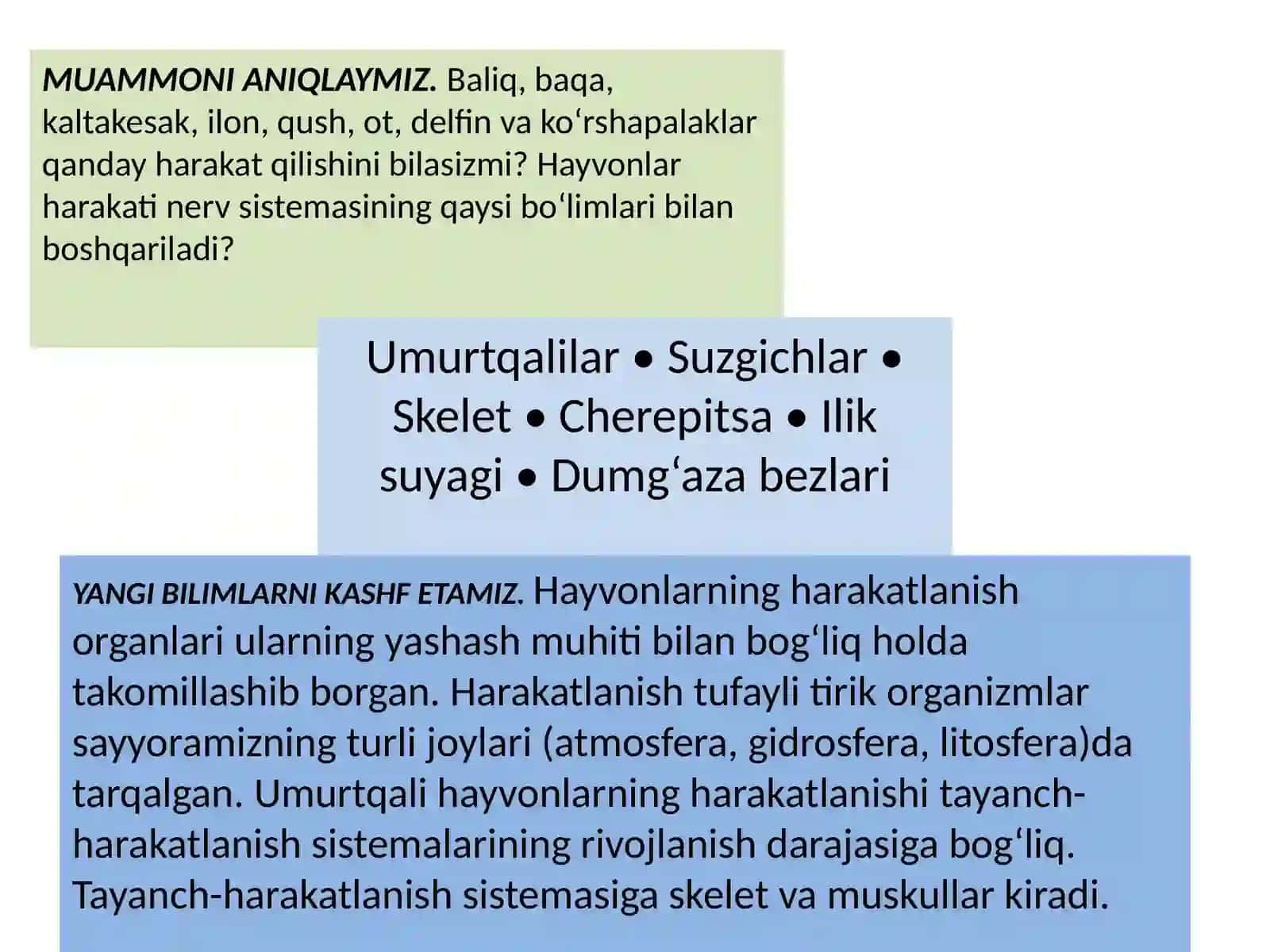 UMURTQALILARNING TAYANCH-HARAKAT ORGANLARI 2