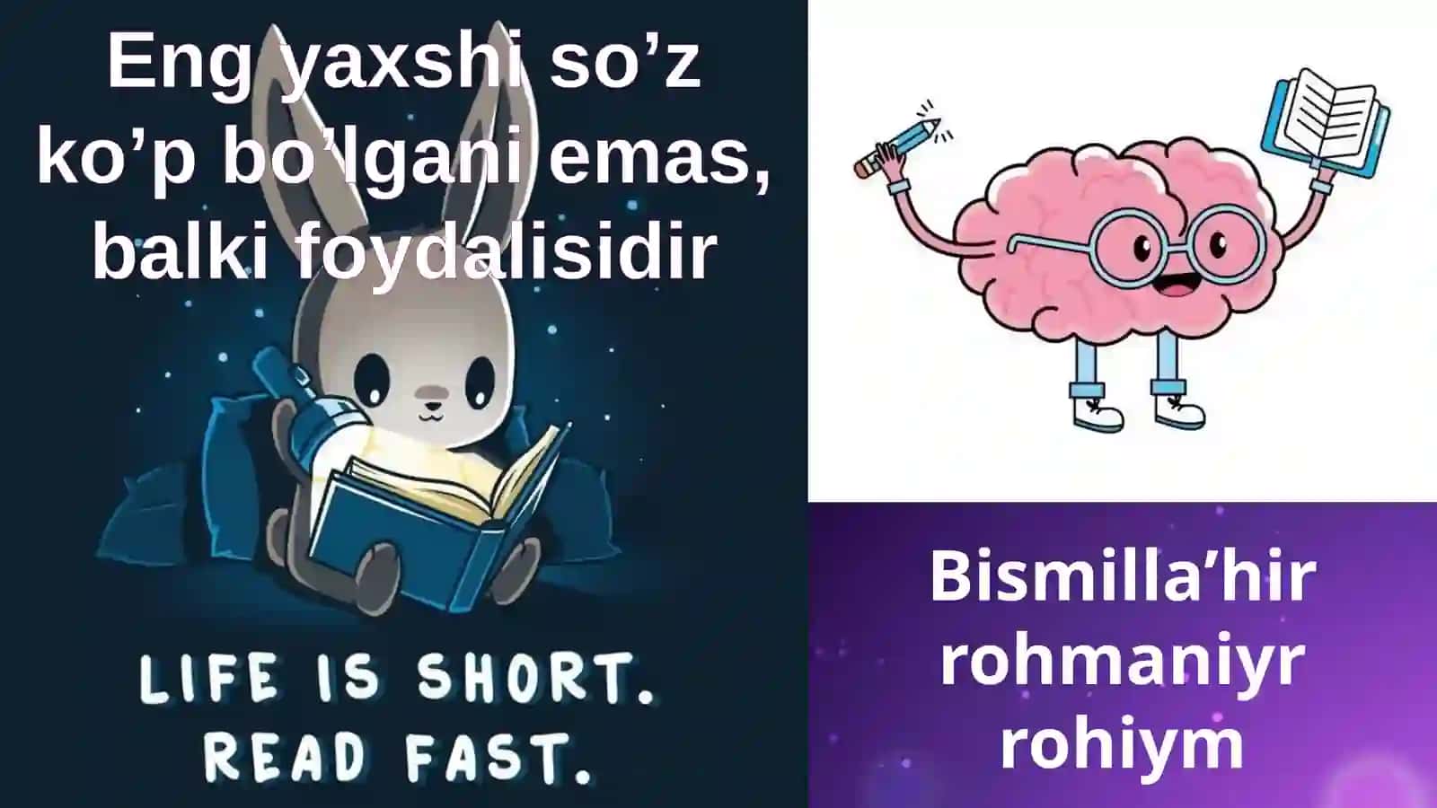 Orqamiyaningichkituzilishi 2