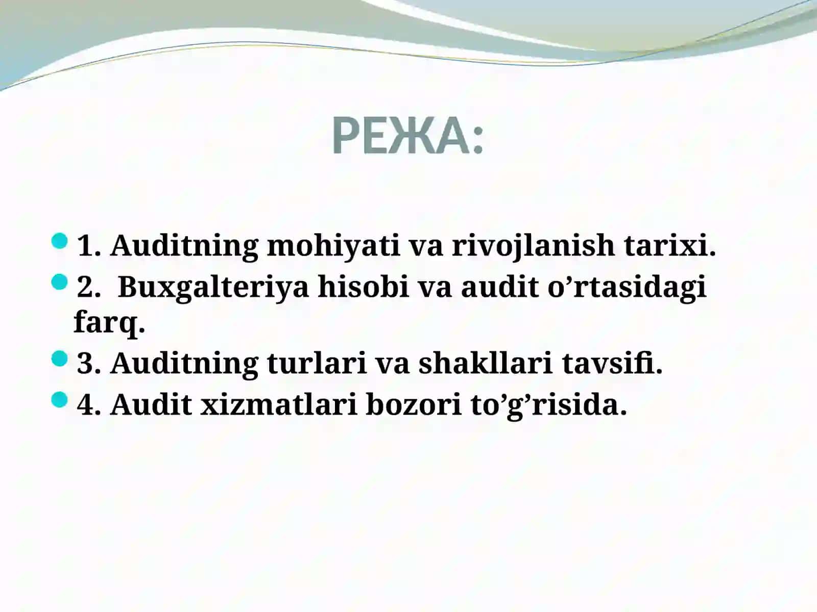 AUDITGA UMUMIY TAVSIF 2