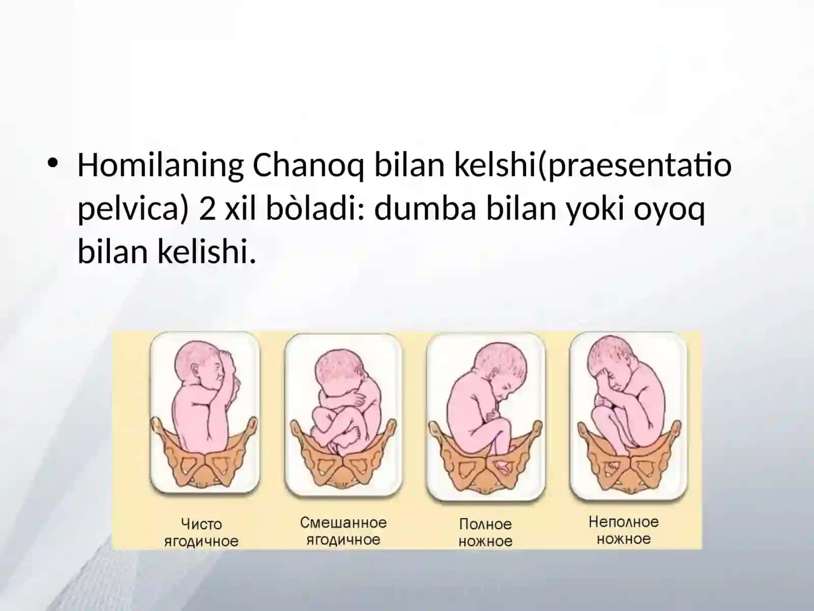 Homilaning Chanoq bilan kelshi 2