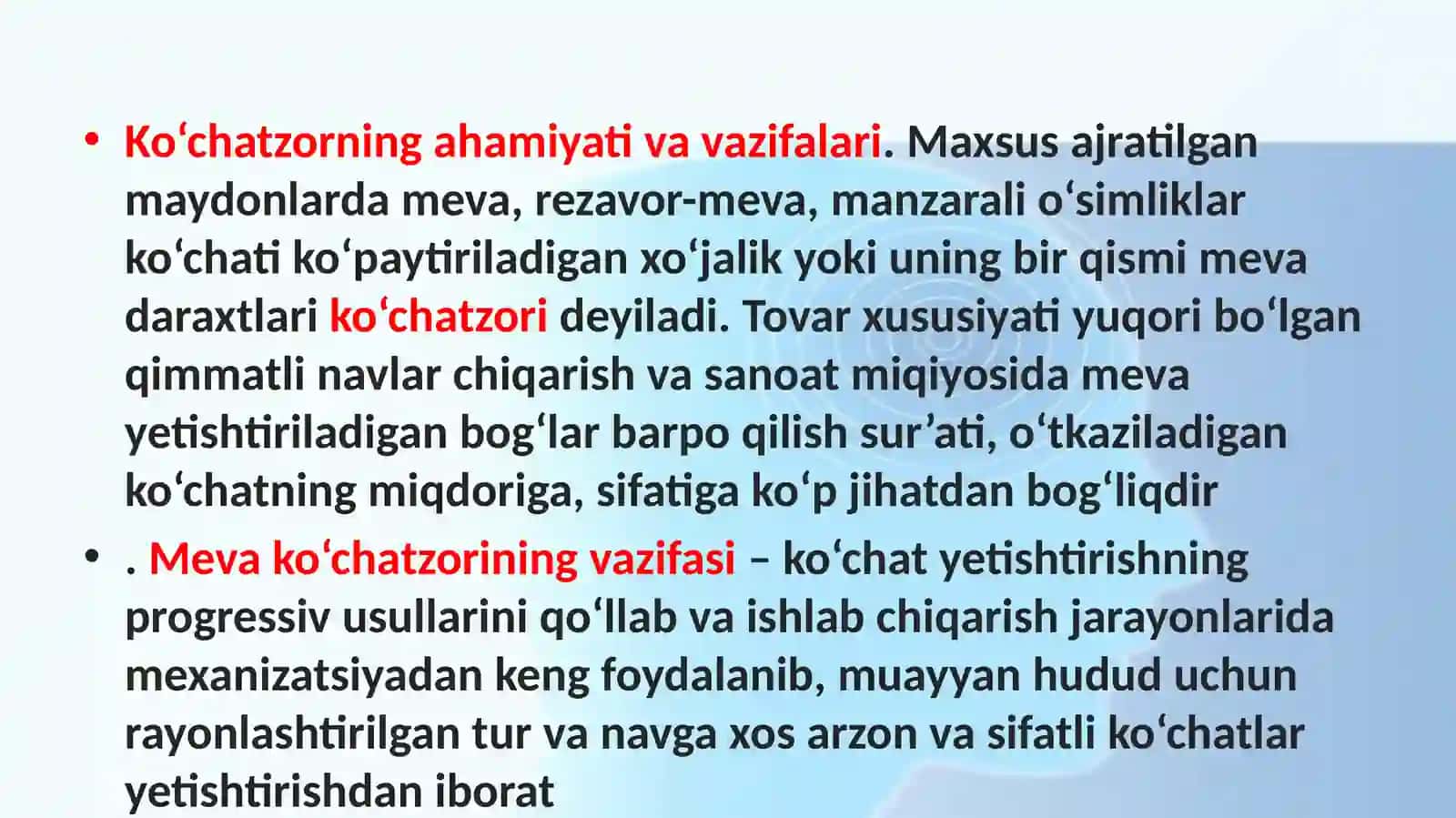mustaqil ishi 2