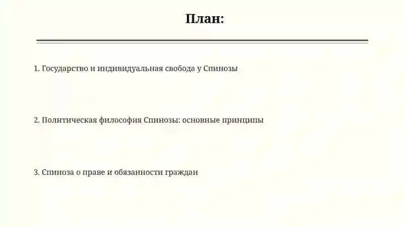 Управление по Спинозе 2