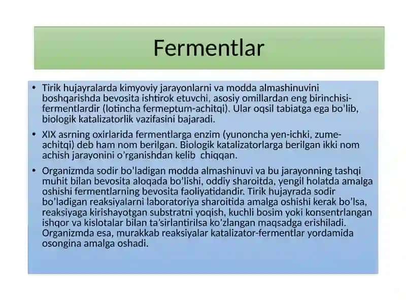 Fermentlar 2