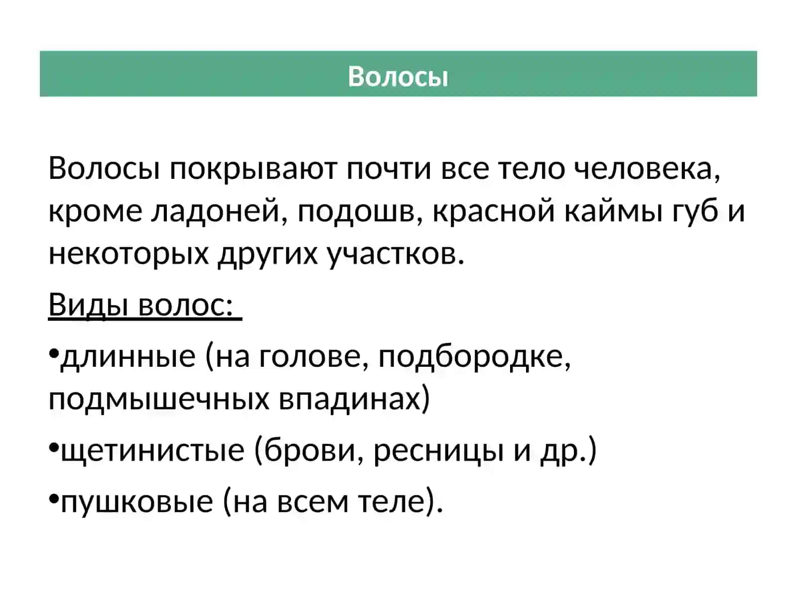 Волосы и кожа головы 2