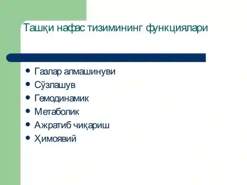 Ташқи нафастизими патофизиологияси 2