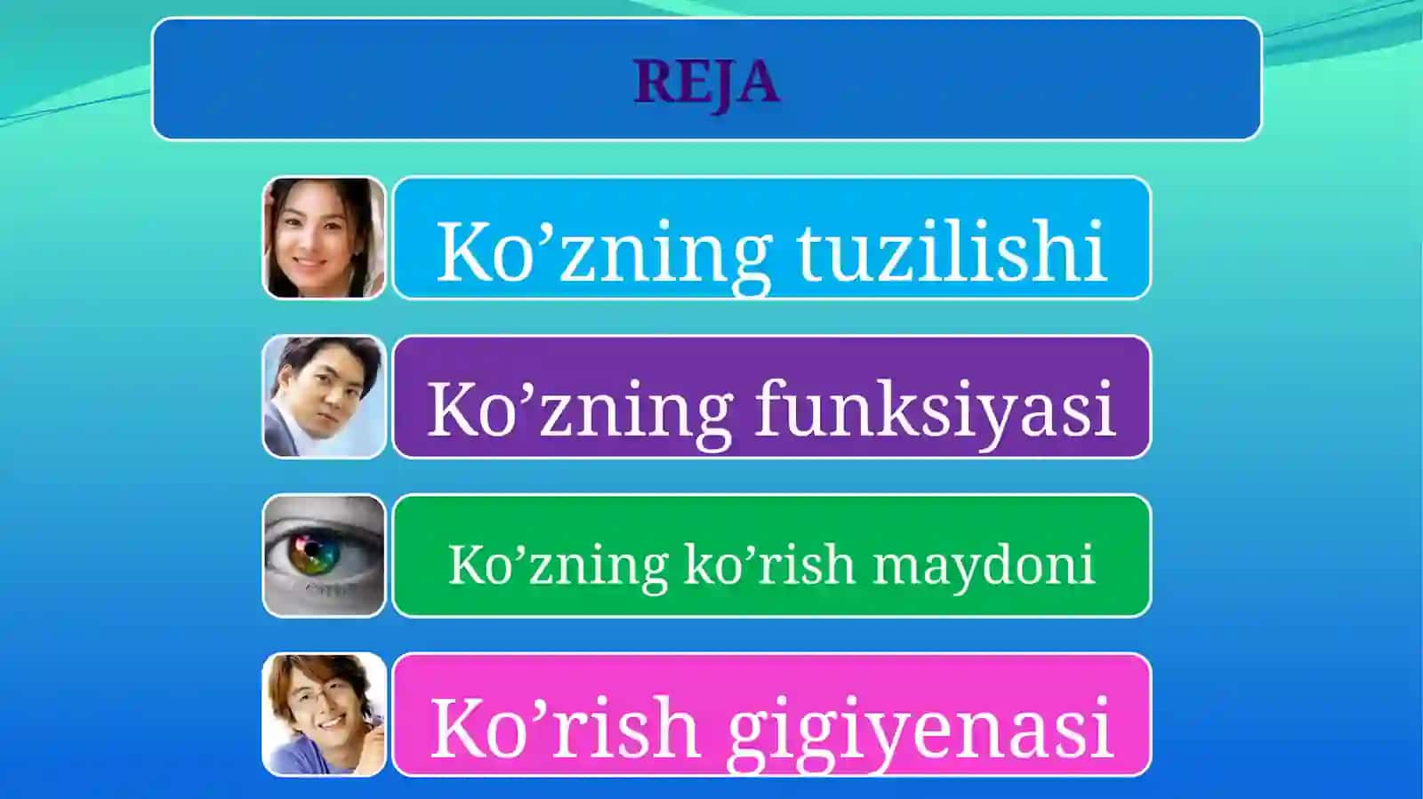 Ko’zning tuzilishi va funksiyasi 2