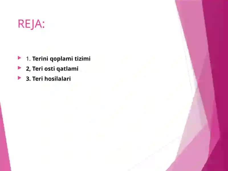 Terixosila organlari tuzilishi 2
