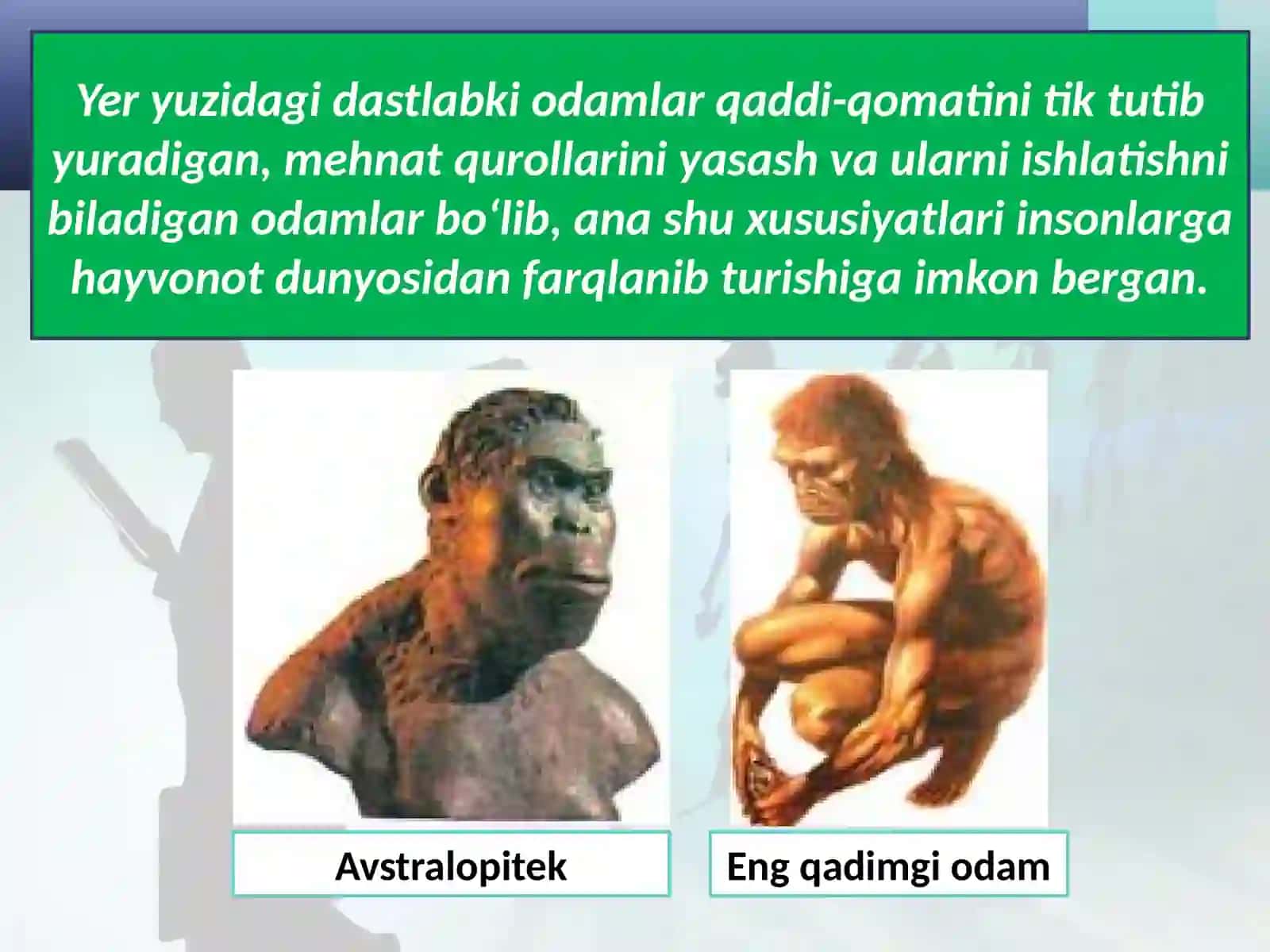 Eng qadimgi odamlar rivojiningilk bosqichlari 2