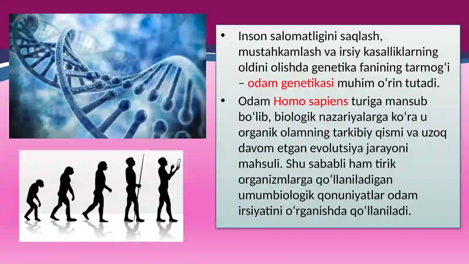 Genetikavainsonsalomatligi 2