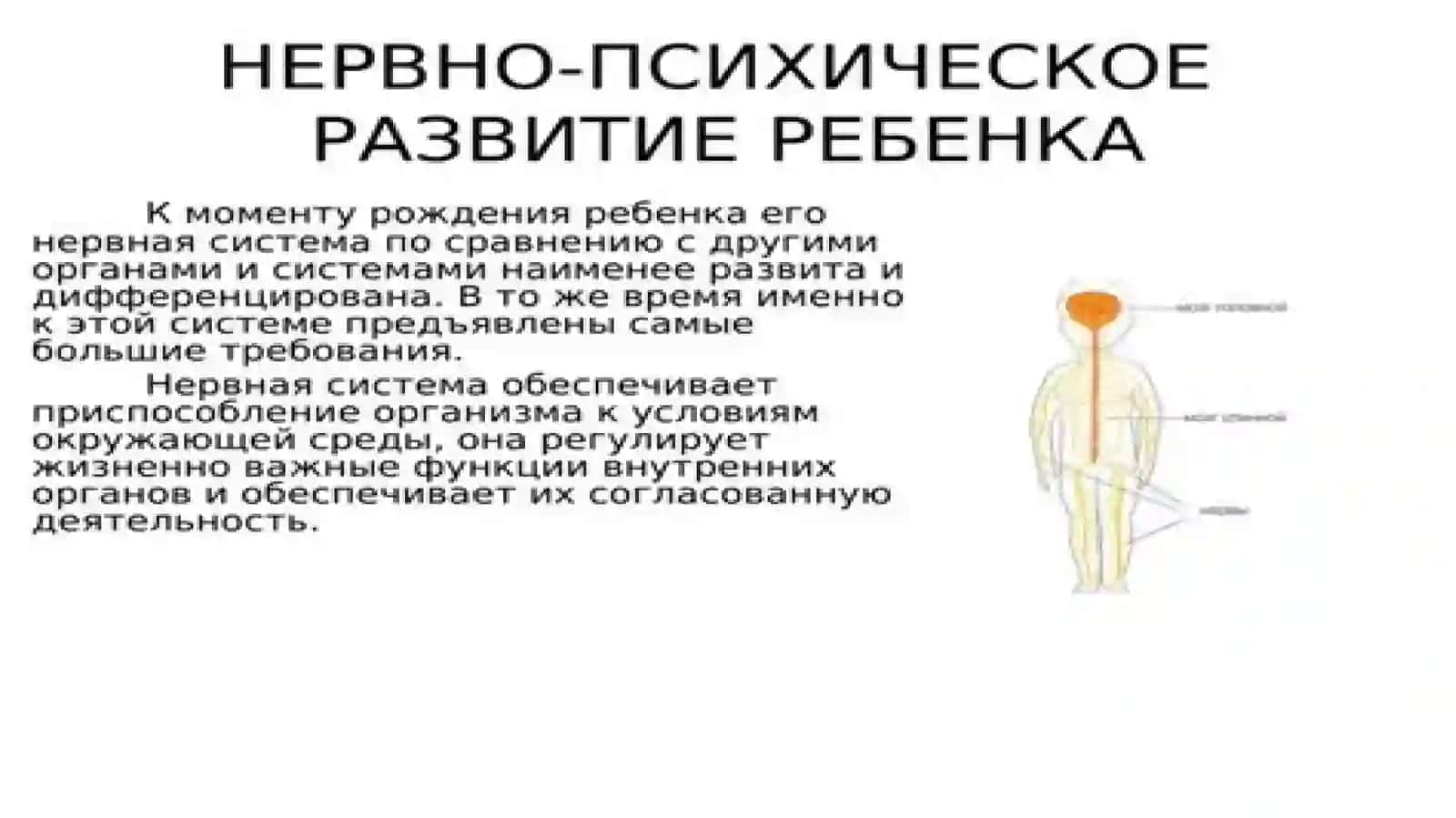 Особенности нервный деятельности детей 2
