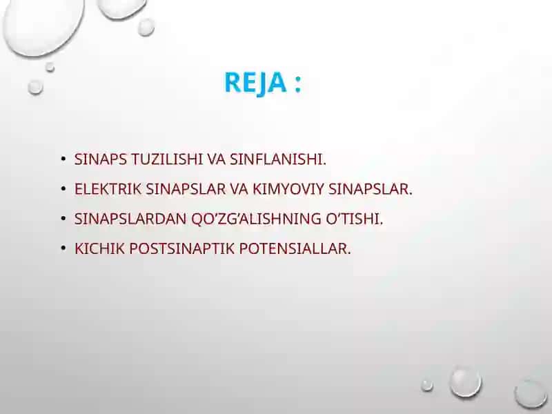 Sinapslar fiziologiyasi 2