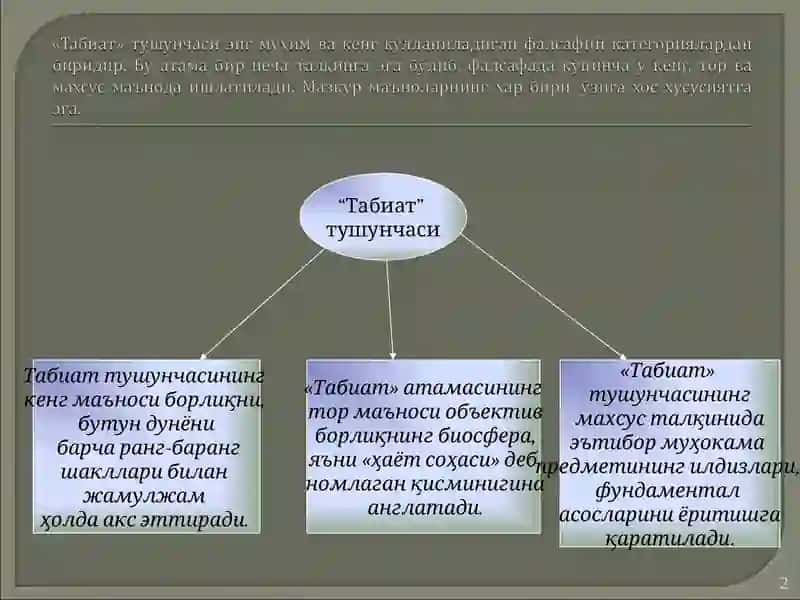 ТАБИАТ ФАЛСАФАСИ 2