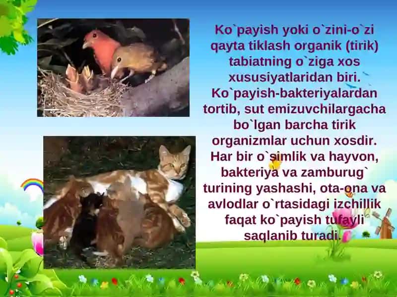 Tirik organizmlarning ko‘payish xillari 2