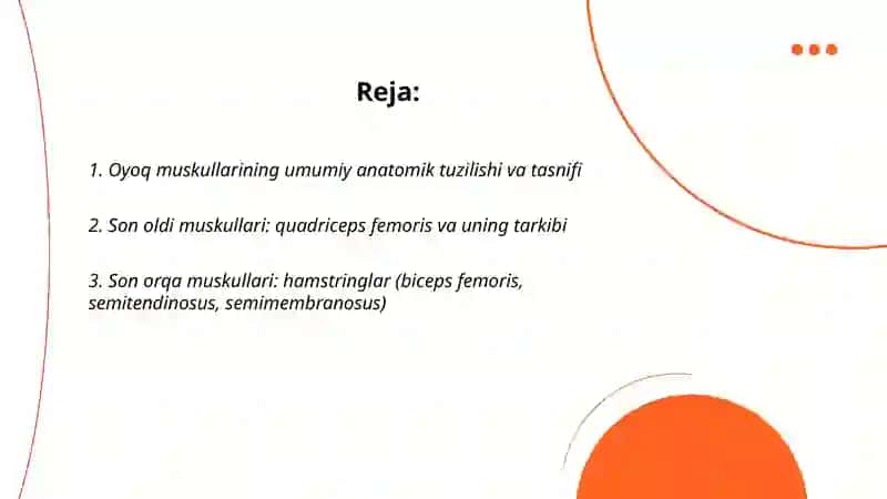 Oyoq muskullarining tuzilishi 2