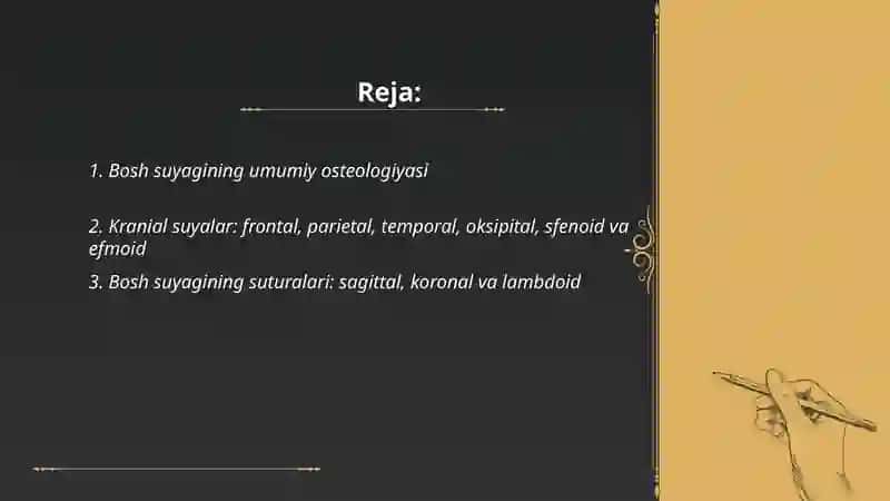 Bosh suyagining umumiy osteologiyasi 2