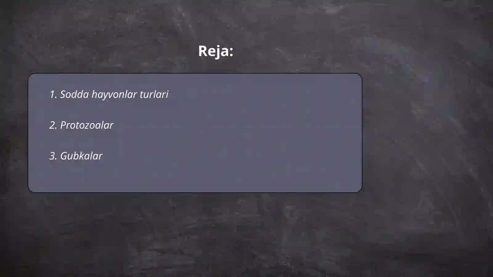 Sodda hayvonlar 2