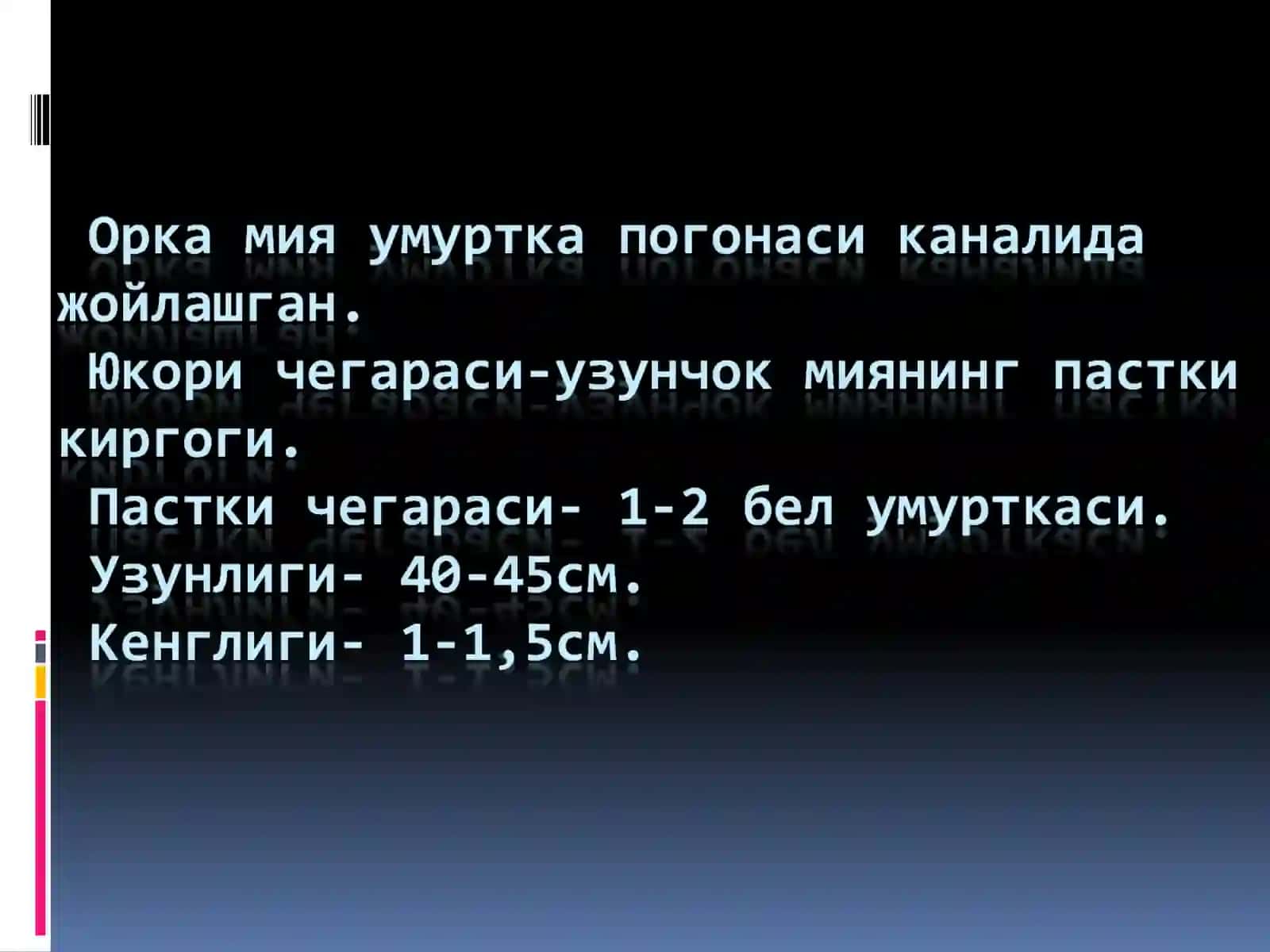 Орка Мия асоси 2