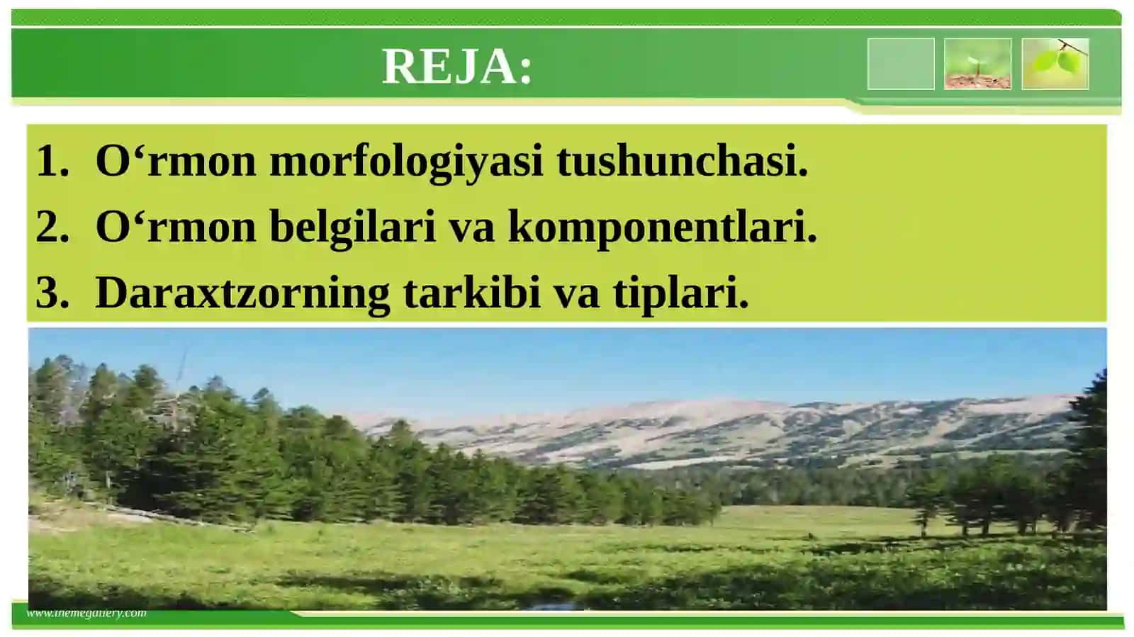 О‘rmon morfologiyasi.Asosiy elementlari va komponentlari 2