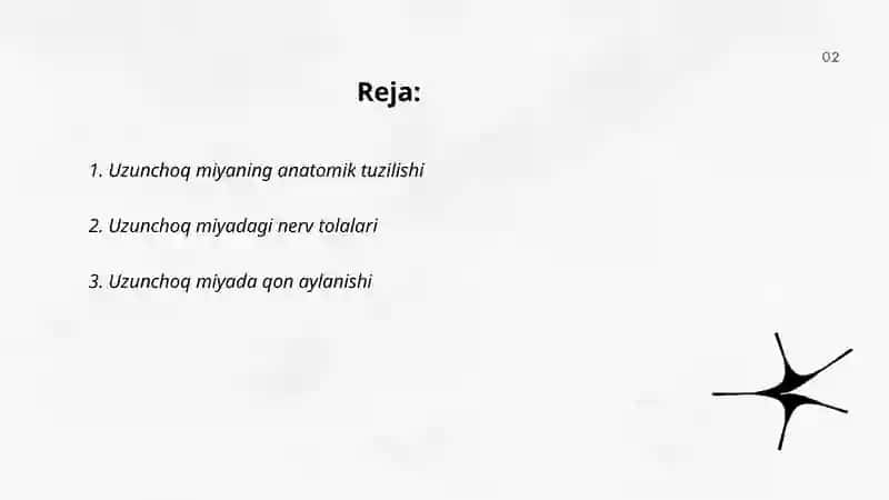 Uzunchoq miya funksiyalari 2