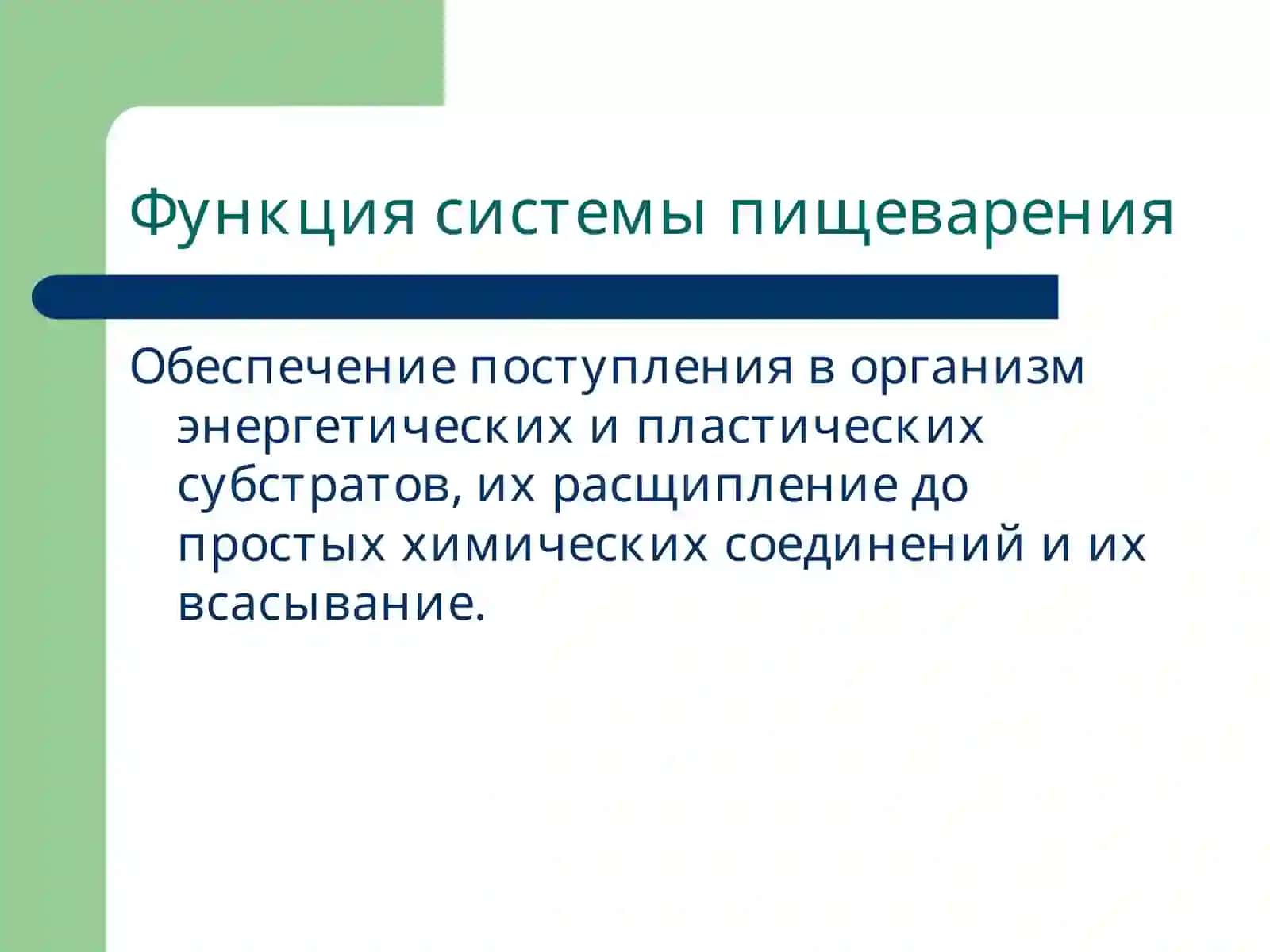 Патофизиология системы пищеварения 2