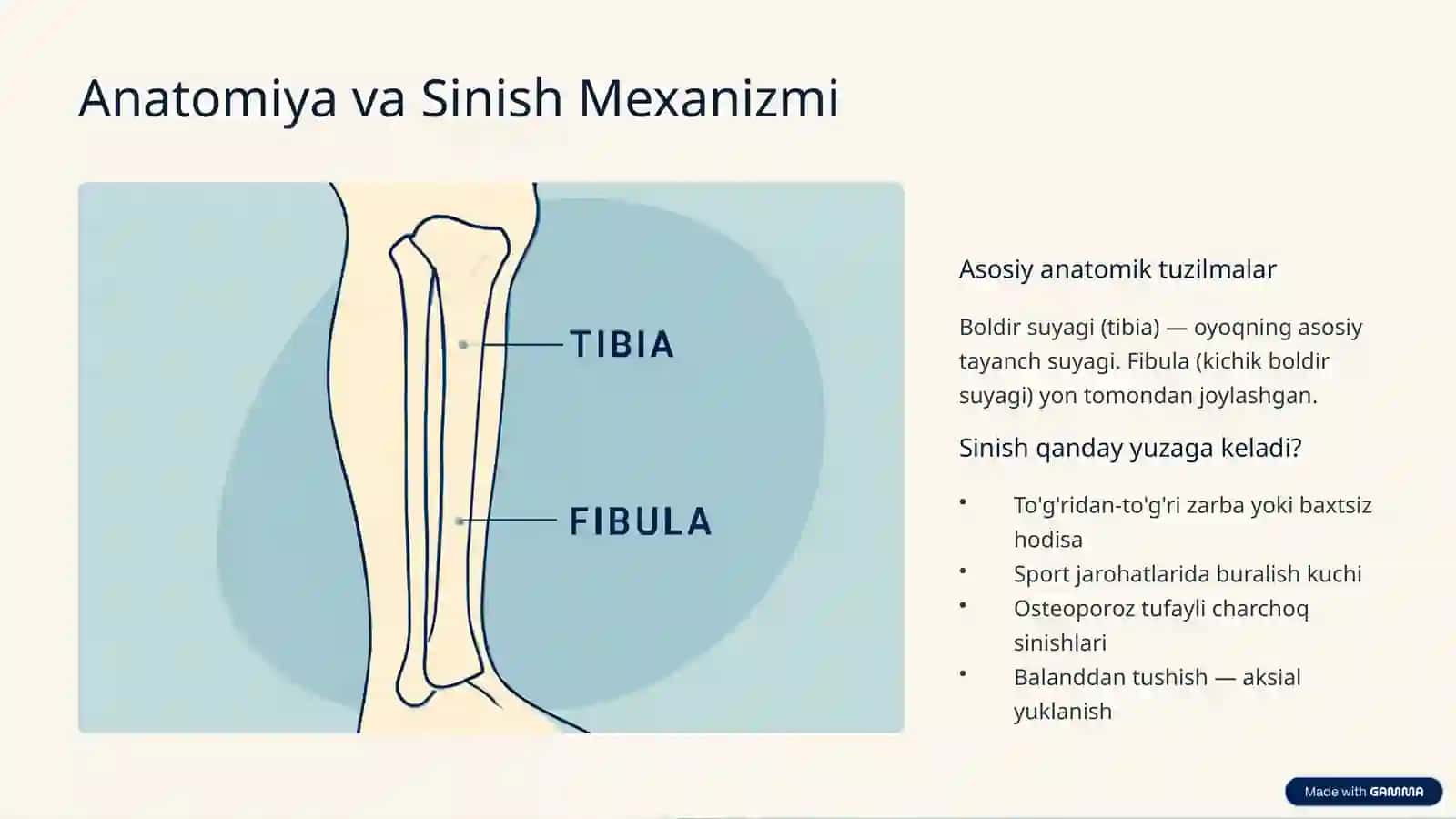 Boldir Suyagi Sinishi 2
