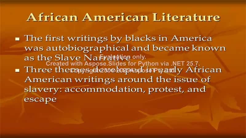 Afro-americans literature 2