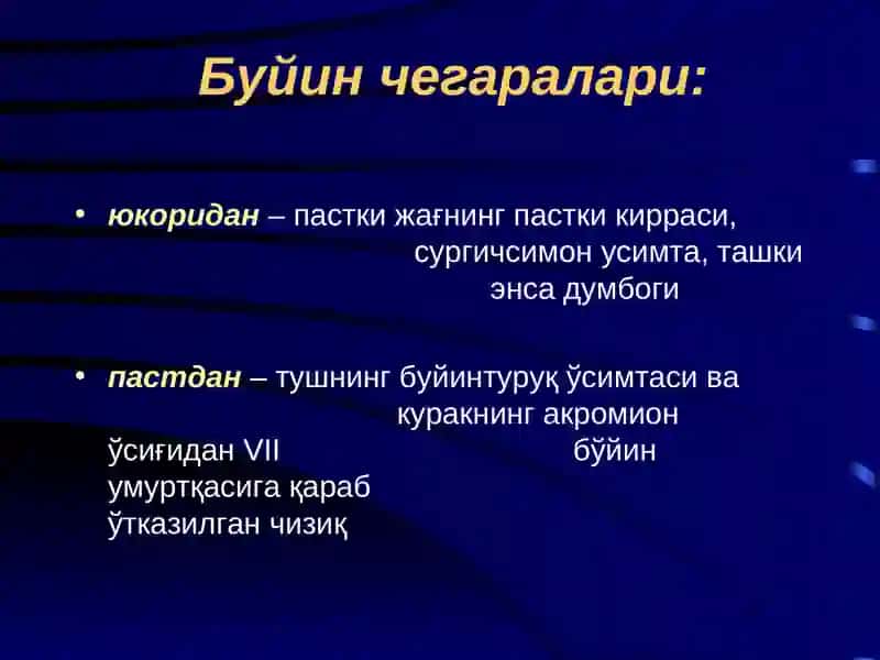 БЎЙИННИНГ КЛИНИК АНАТОМИЯСИ. БЎЙИН АЪЗОЛАРИГА ОПЕРАТИВ ОЧИБ КИРИШЛАР. ТРАХЕОСТОМИЯ.  КЎКРАК ДЕВОРИ, КЎКРАК БЎШЛИҒИ ЖАРРОҲЛИК АНАТОМИЯСИ ВА УЛАРДА  БАЖАРИЛАДИГАН ОПЕРАЦИЯЛАР 2