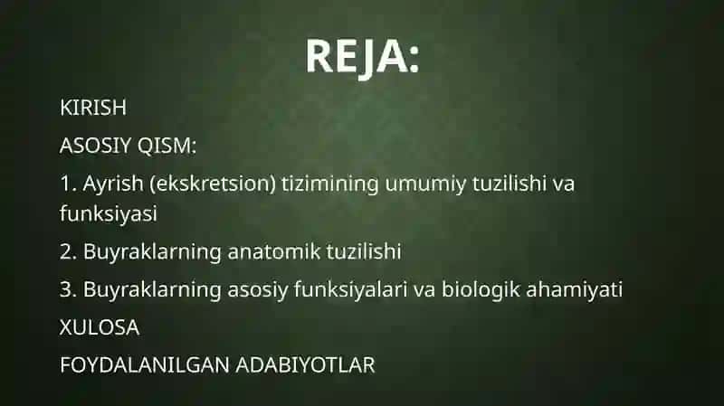 Ayrish a'zolari tizimi. Buyraklar anatomiyasi 2