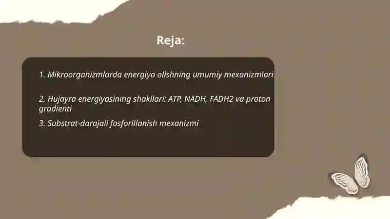 Mikroorganizmlar tamonidan energiya olish usullari 2