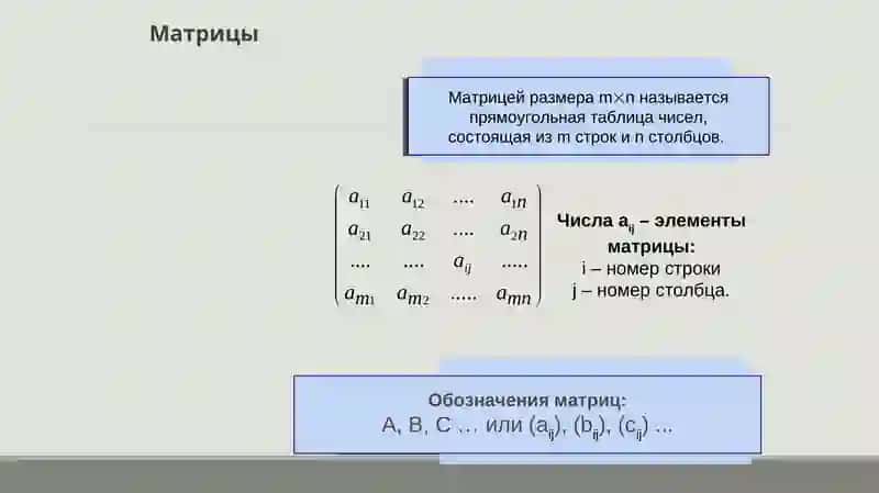 Матрицы и действия над ними 2