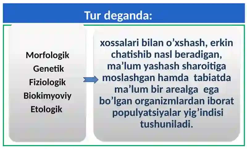 Hayotning tur va populyatsiya darajasi 2
