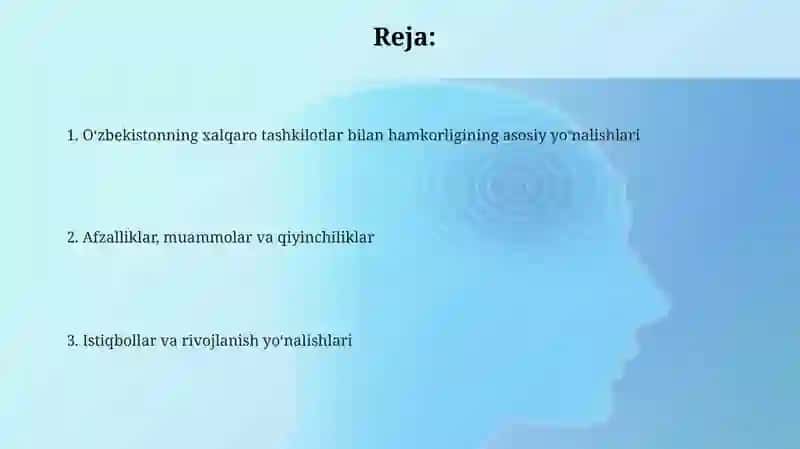 O'zbekistonning xalqaro tashkilotlar bilan hamkorlik aloqalari 2