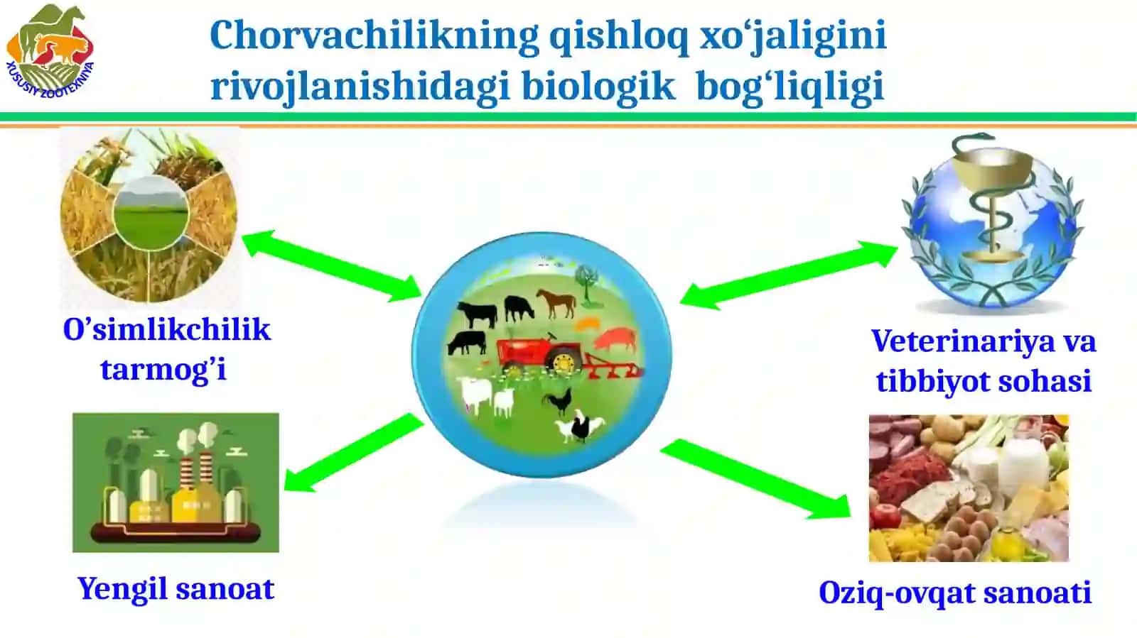 Chorvachilik asoslsri faniga kirish 2