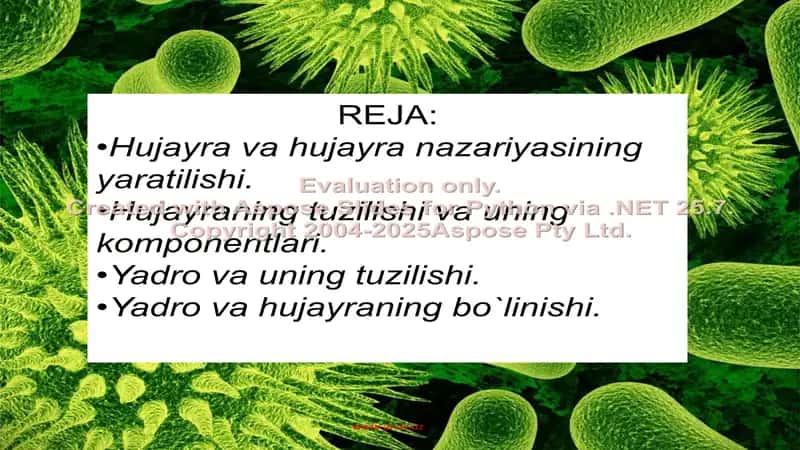 Xujayra 2