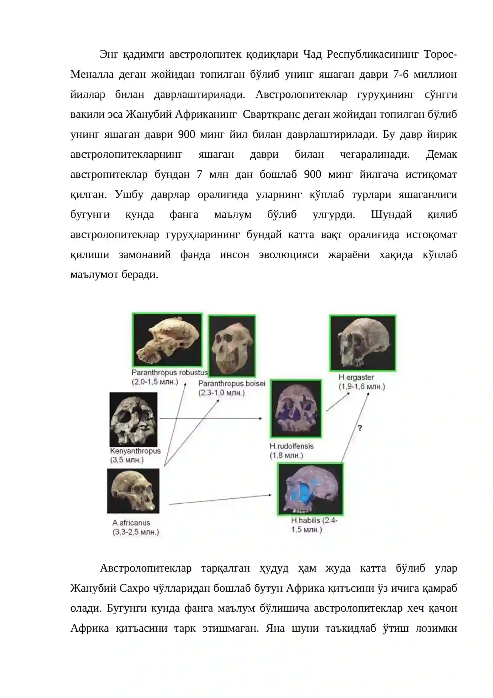 5-6-7 мавзу. Гоминидлар эволюциясининг илк босқичи. Австролопитеклар 2