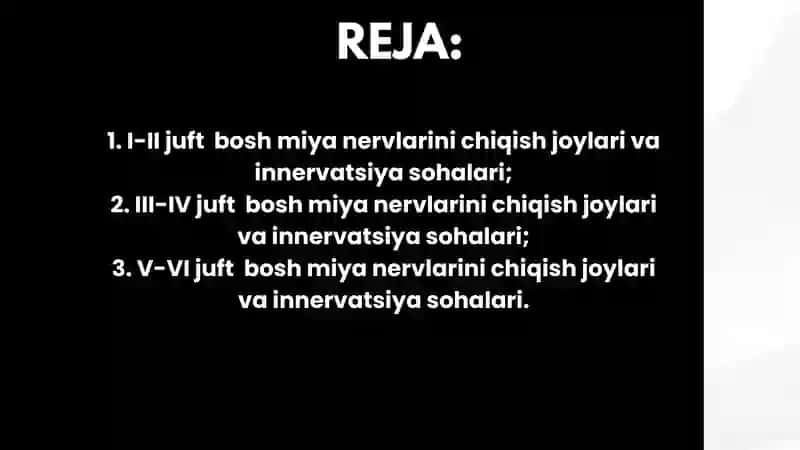 I-VI JUFT BOSH MIYA NERVLARI 2