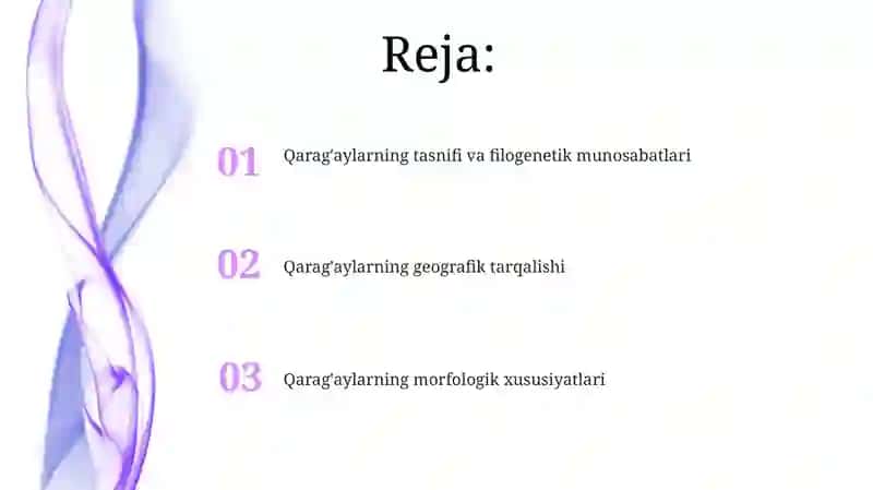 Qaragʻaylar (ochiq urugʻlilar) 2
