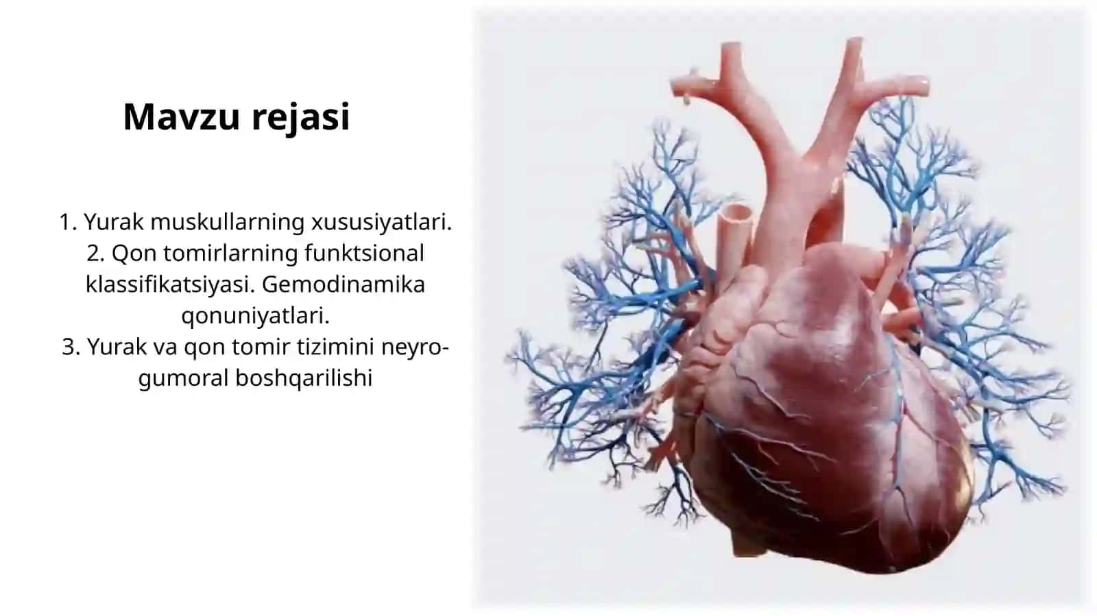Yurakqontomirsistemasi 2