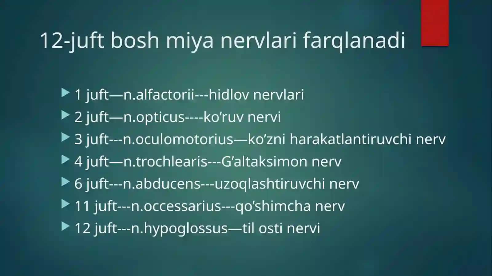 Nervi cranialesAnatomical 2