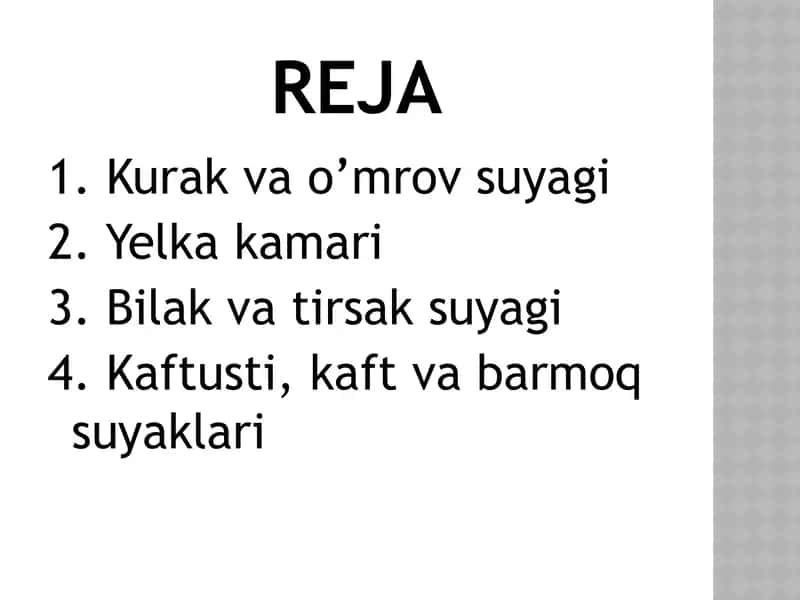 Qo'l suyaklari 2