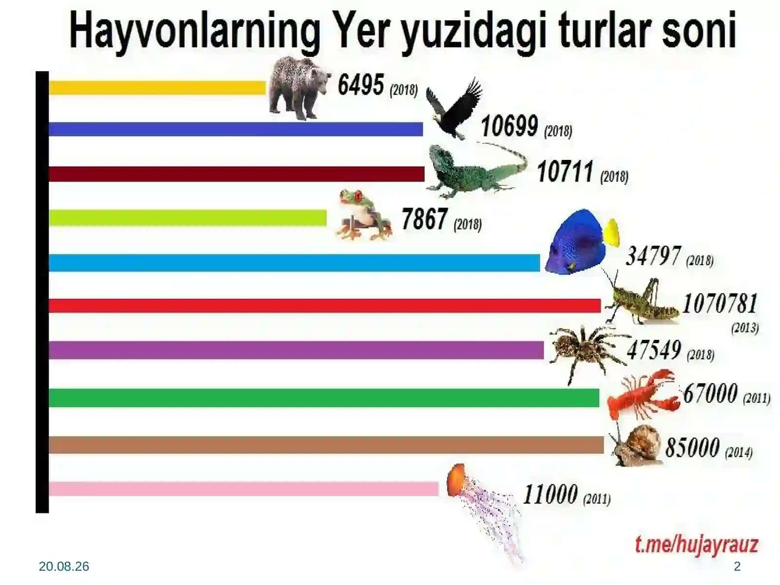 Ma’ruza: Umurtqasizlar bilan tanishuv 2