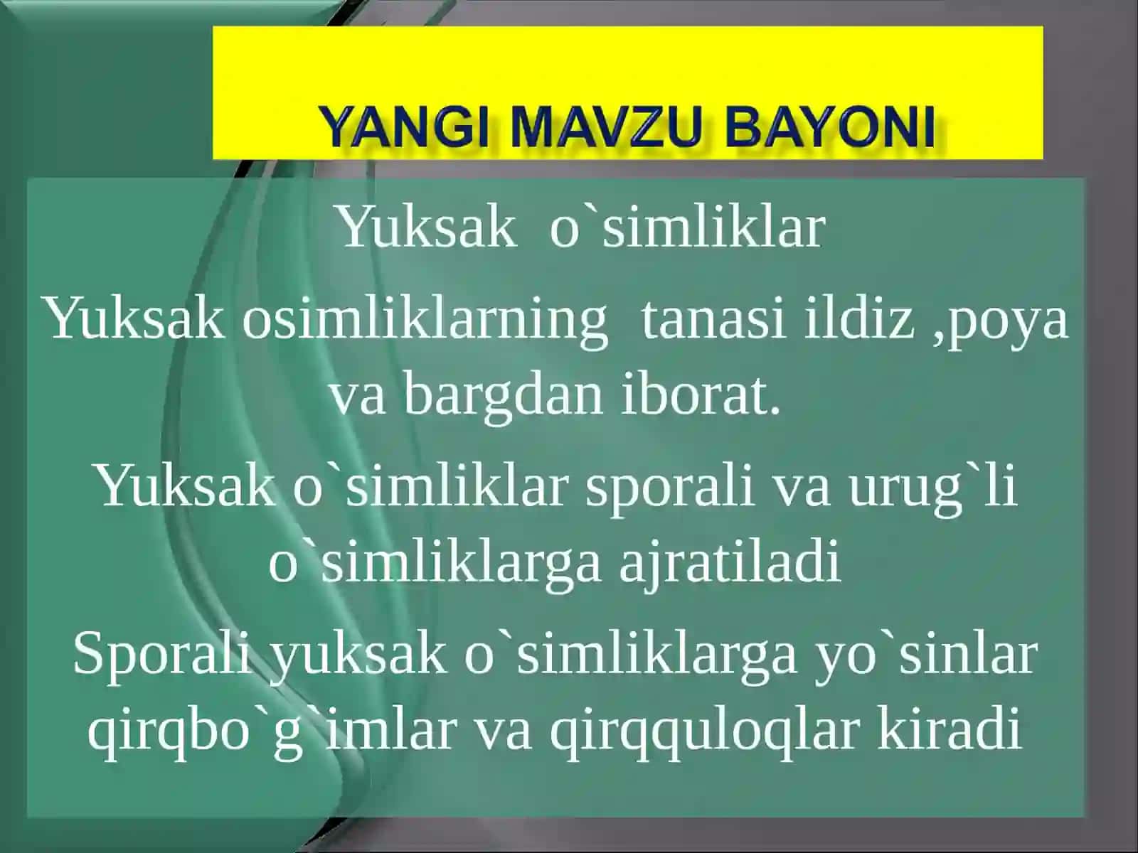 Yuksak o`simliklar 2