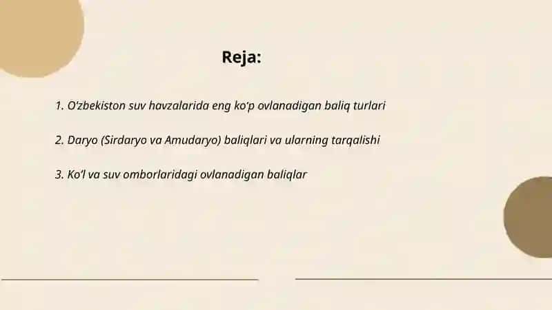 Oʻzbekiston suv havzalarida ovlanadigan baliqlar 2